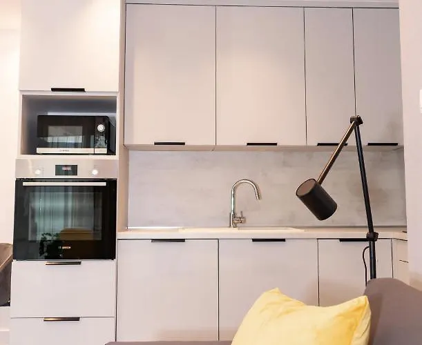 Luxury Cozy 2 Bdr Downtown Apt.3 Apartament