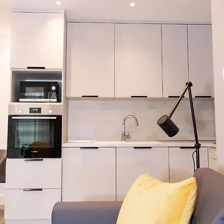 Luxury Cozy 2 Bdr Downtown Apt.3 דירה