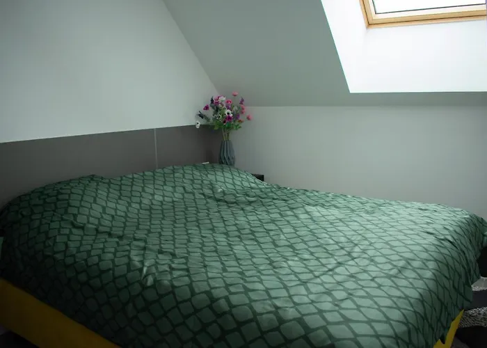 Luxury Cozy 2 Bdr Downtown Apt.3 *