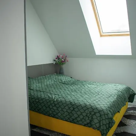 Luxury Cozy 2 Bdr Downtown Apt.3 *