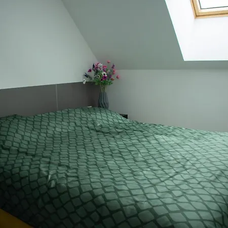 Luxury Cozy 2 Bdr Downtown Apt.3 *