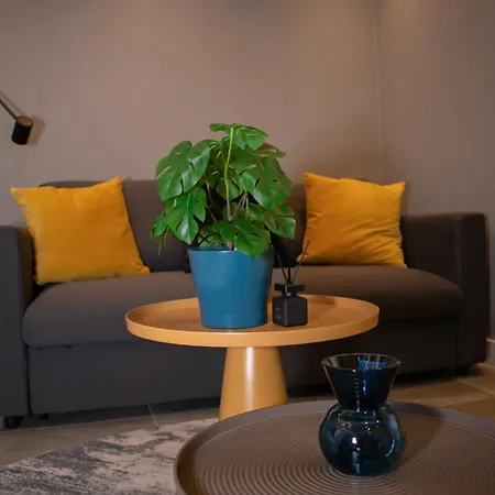 Luxury Cozy 2 Bdr Downtown Apt.3 Lejlighed