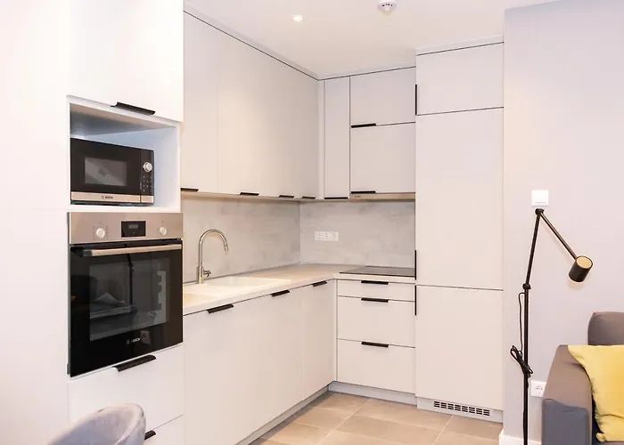 Luxury Cozy 2 Bdr Downtown Apt.3